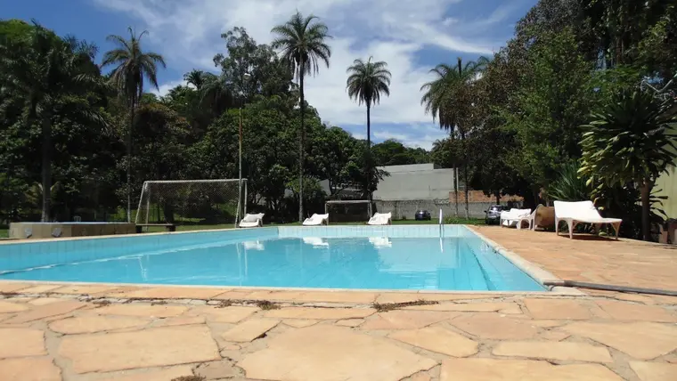 Piscina retangular com borda em pedra, cercada por palmeiras e espreguiçadeiras