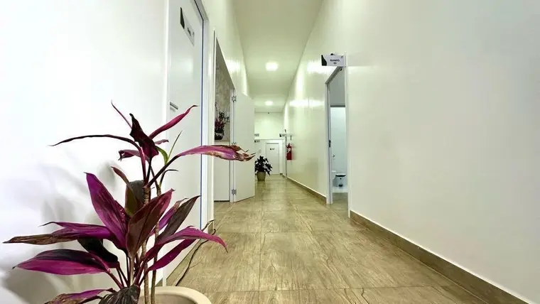 Corredor interno claro, com piso de porcelanato e planta ornamental