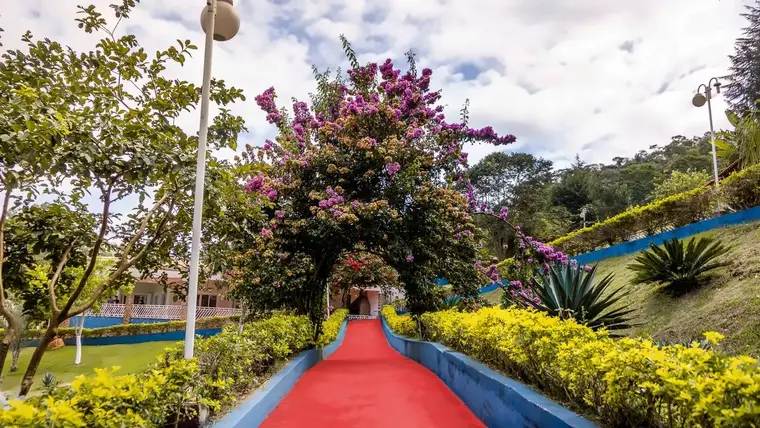 Caminho ladeado por canteiros floridos e árvores