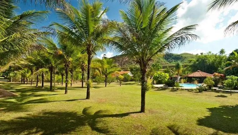 Gramado com palmeiras, sede e piscina ao fundo